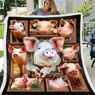 Amazon digital printing lamb flannel blanket animation around to map can be set a printing