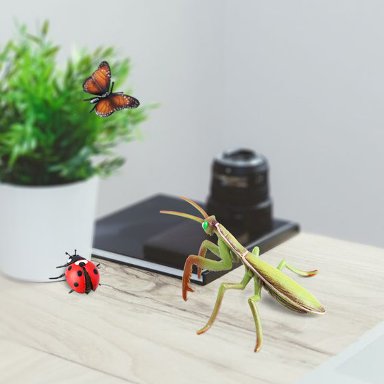 Cross-border Static Simulation Insect Model Spider Ceramulus Mantis Butterfly Mosquito Insect Children's Cognitive Animal Toy