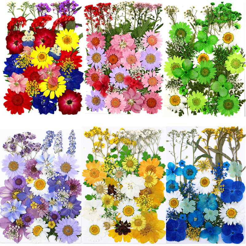 押し花の組み合わせパック 本物の花の葉の標本の絵を押すためのドライフラワー材料|undefined