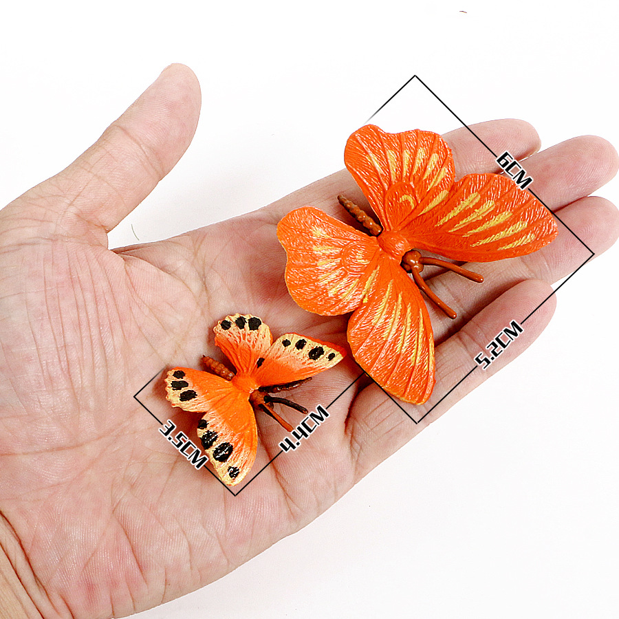 Simulation insect model butterfly 12 PVC Color Butterfly wildlife model cognitive toy ornaments