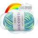 23 Yellow and Blue Segment