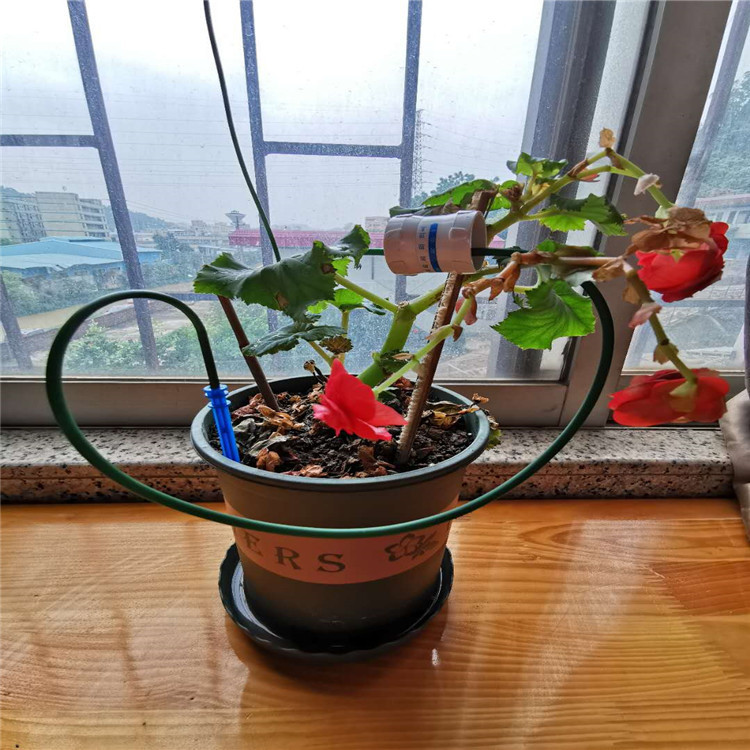 自動給水器怠け者給水神器水滴器水浸透器鉢植え出張自動家庭用|undefined