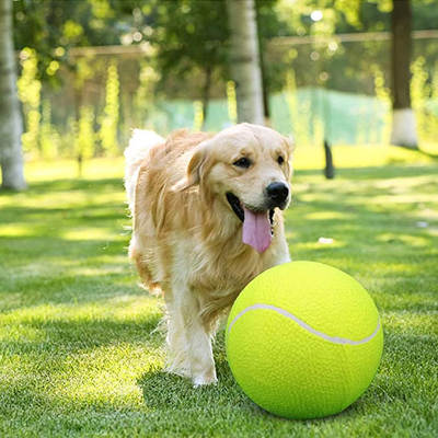 Big tennis signature 24cm inflatable tennis holiday event gift pet tennis 9.5-inch pet bite toy