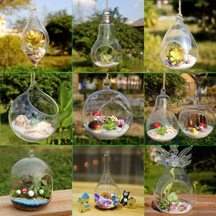 Creative hanging moss micro landscape glass vase meat glass vase hanging bottle DIY potted desk ornaments