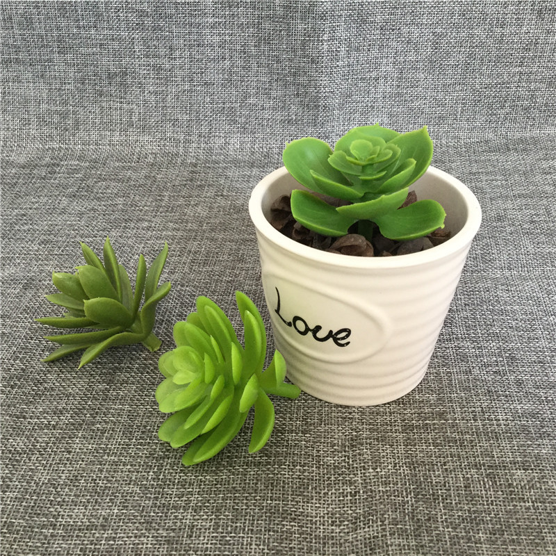 Factory simulation Saussurea involucrata fleshy plant indoor plant wall background fake flower wedding bonsai with flower micro landscape decoration