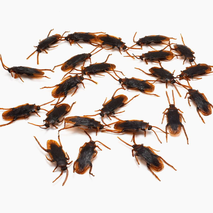 Halloween simulation cockroach April Fool's Day fake cockroach realistic cockroach whole person Xiaoqiang trick toy