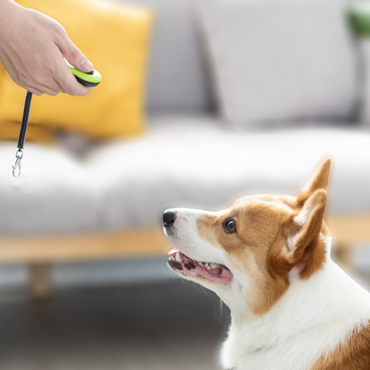 Yite Pet Dog Ring Pet Training Whistle Dog Supplies Dog Training Professional Artifact Working Dog Training
