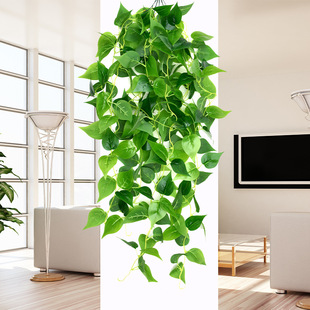Green Rose Fake Plant Simulation Vine Decoration Plastic Fake Flower Vine Living Room Indoor Wall Wall Hanging Flower Hanging Basket Leaves