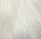 #2 White