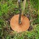 Needle Punched Round Brown Film Flower Pot Shade Mat Tree Fence Mat Anti-Grass Mat Flower Pot Dust-proof Decorative Mat