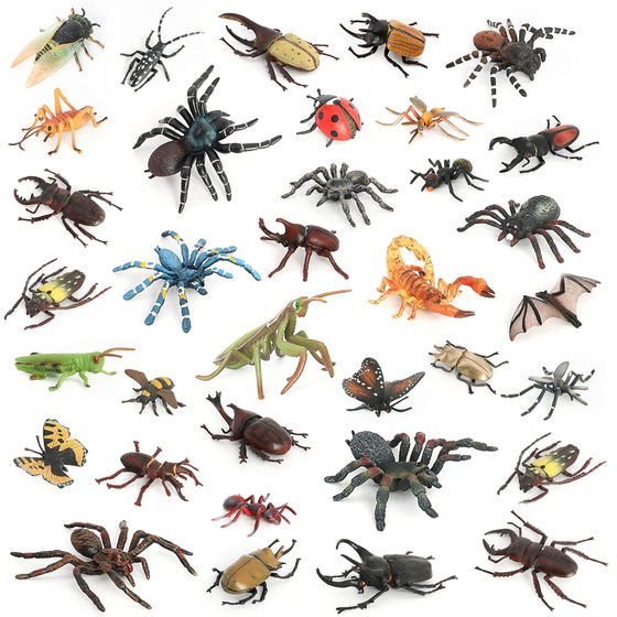 Cross-border Static Simulation Insect Model Spider Ceramulus Mantis Butterfly Mosquito Insect Children's Cognitive Animal Toy