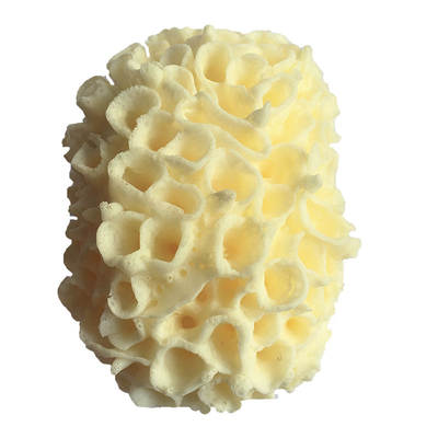 [Factory Wholesale] Children's Bath Sponge Soft Seaweed Baby Cleaning Honeycomb Safety