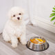 Stainless steel dog bowl non-slip anti-knock dog bowl medium and large dog thickened dog bowl pet food in stock wholesale