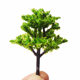 Sand table tree micro landscape model tree simulation plastic peach tree landscaping finished tree manual modeling ring art materials