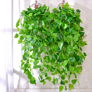Artificial Green Wall Hanging Artificial Flower Vine Vine Green Plant Wall Living Room Indoor Green Plant Leaf Decorative Chlorophytum