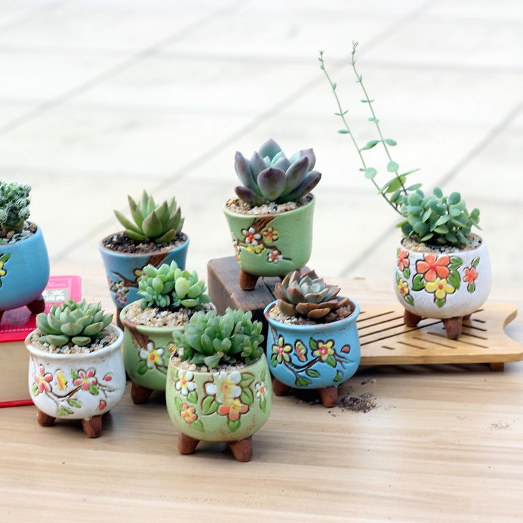 Hand-painted flowerpot succulent plant pot cross-border e-commerce product creative personality pot
