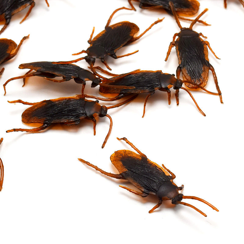 Halloween simulation cockroach April Fool's Day fake cockroach realistic cockroach whole person Xiaoqiang trick toy