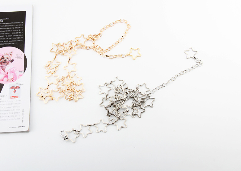 Women's Waist Chain Star Decoration Thin Belt Simple All-match Dress Fashion Waist Chain Small Belt Skirt In Stock_voghion.com