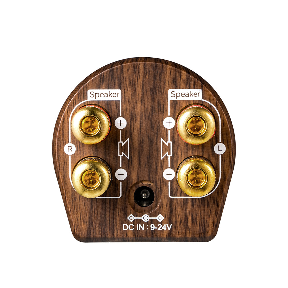 Bluetooth power amplifier wood grain D digital mini power amplifier hifi high power 100W fever home audio