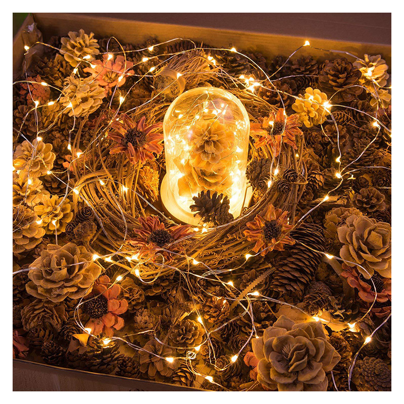 Factory direct black wire USB copper wire lantern home Christmas Tree Hotel decoration LED copper wire Lantern string