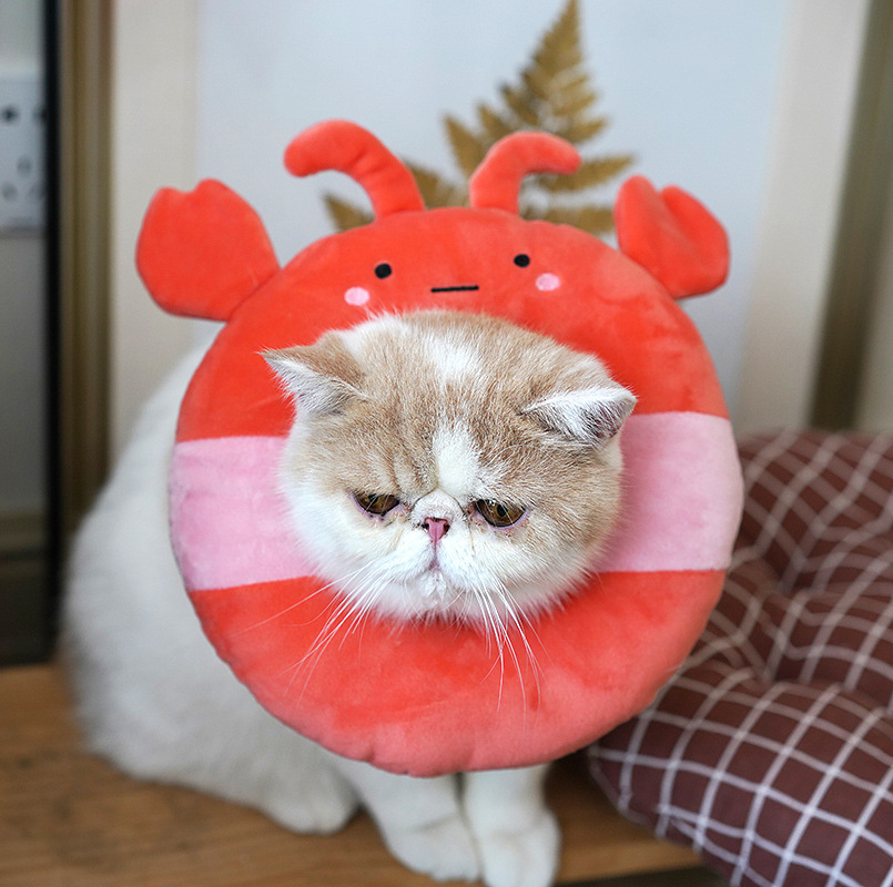 Elizabeth Loop Cat Shame Neck Loop Cat Soft Cloth Collar Neck Collar Anti-Lick Post-sterilization Supplies Cute Headgear