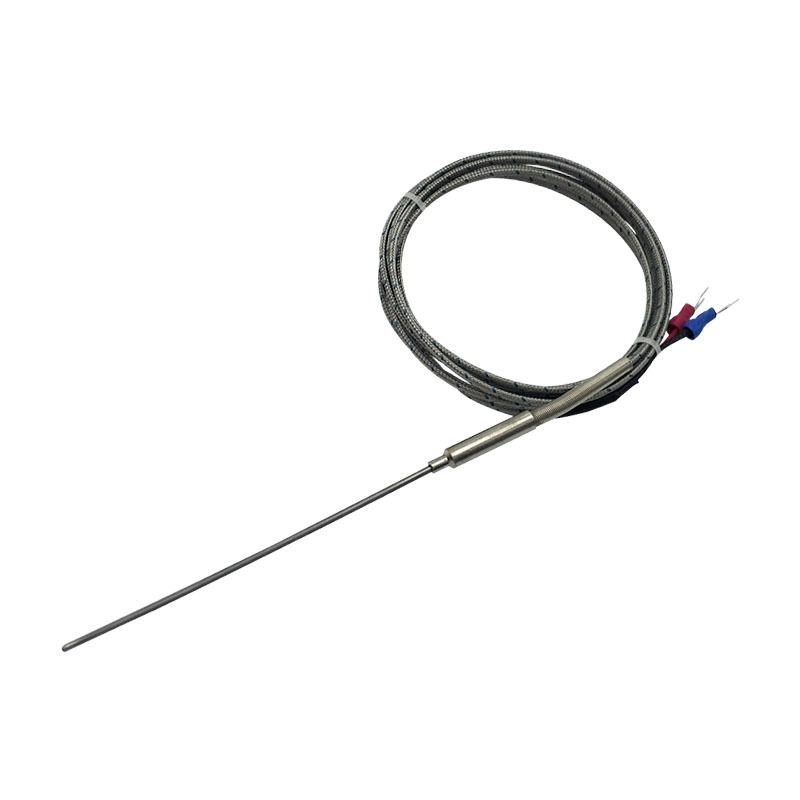 High temperature resistant armored thermocouple WRNK191KEJ PT100 probe type thermal resistance temperature sensor can be bent