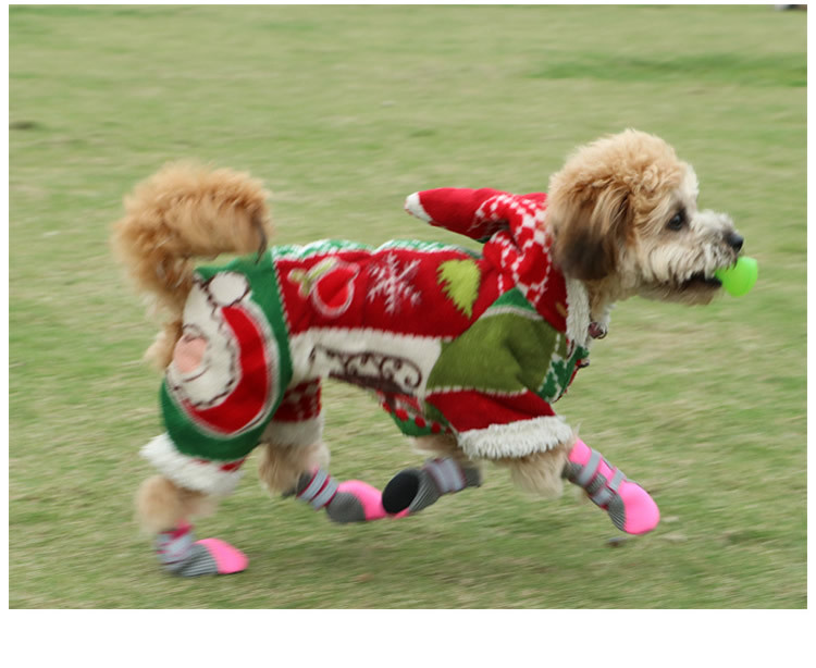 Pet Mesh Shoes Image 9