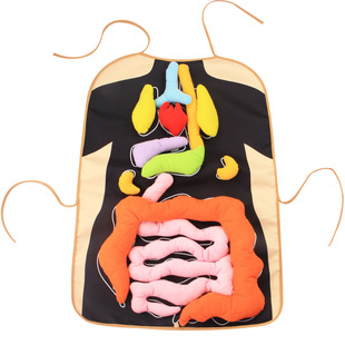 Baby toys human viscera early education teaching utensils children's educational Three-dimensional organ apron