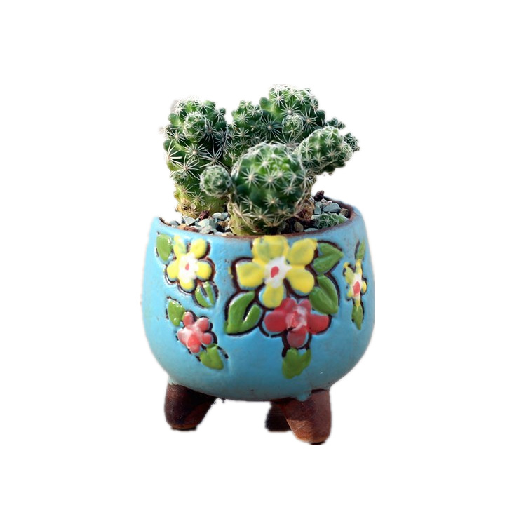 Hand-painted flowerpot succulent plant pot cross-border e-commerce product creative personality pot