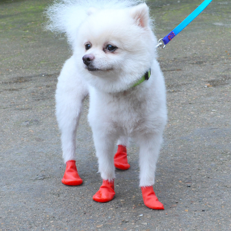 新しい防水犬の靴カバー猫屋外汚れにくいレインシューズゴム風船耐久性のある足の保護|undefined