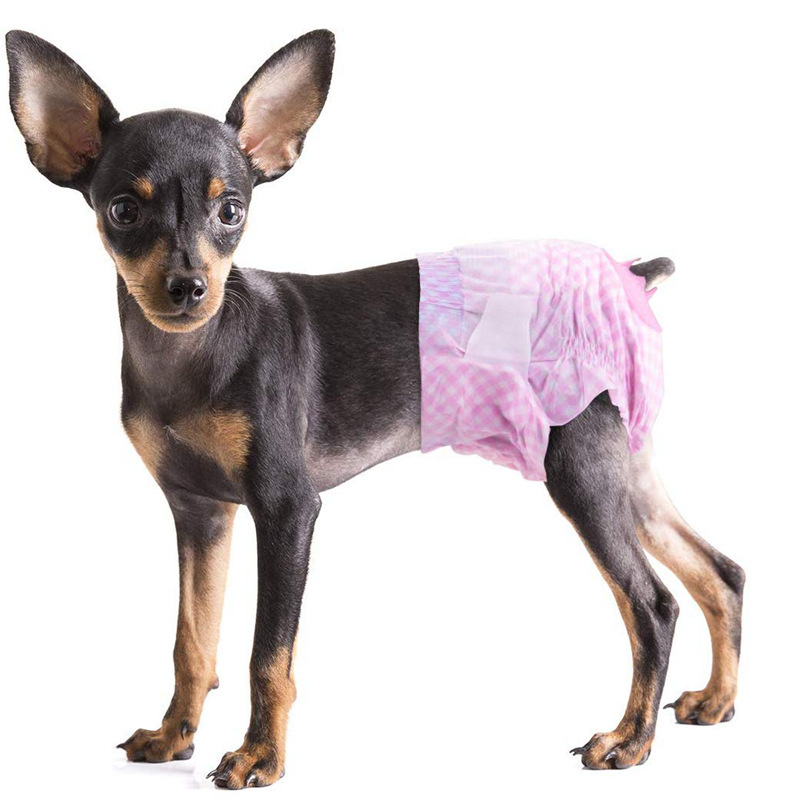 2020新品ドンオ紙おむつ犬の生理用ズボン犬の叔母のおむつおむつパッドクロスボーダーペット用品|undefined