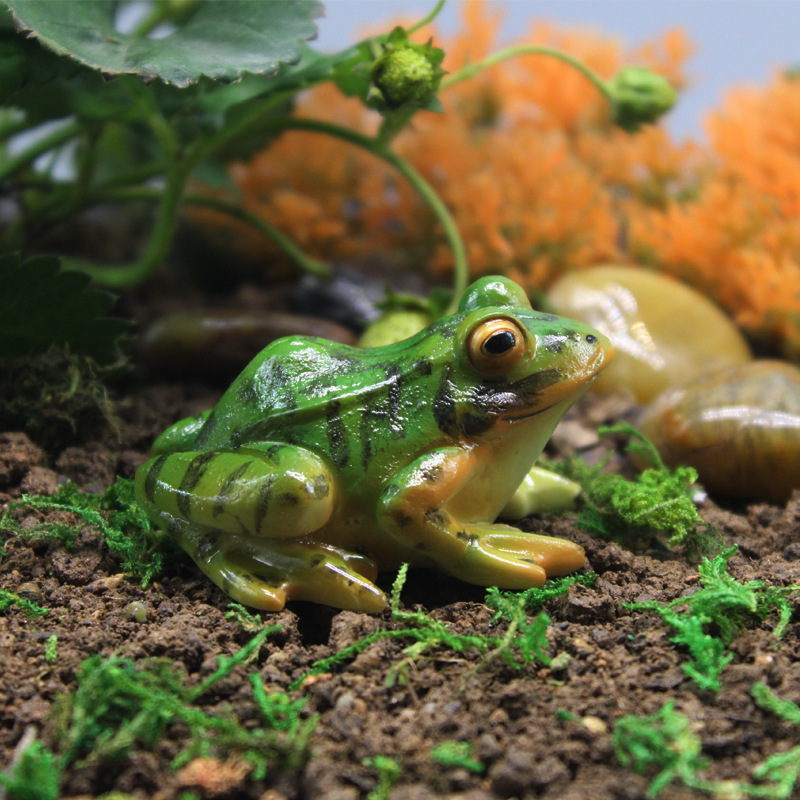 ミニチュア模擬カエル飾りベーキング風景アクセサリーインテリア樹脂工芸園芸鉢植え多肉植物の装飾|undefined