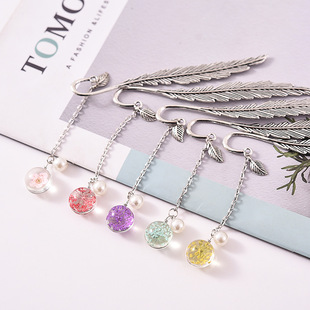 Glass dried flower plant specimen feather gift jewelry constellation artistic leaves antique stationery bookmark