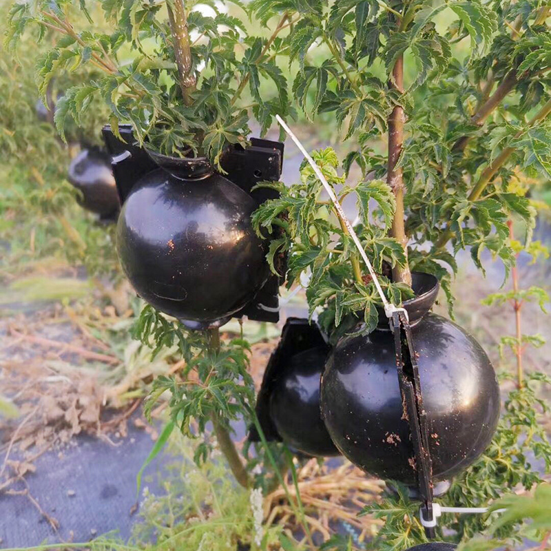 植物高圧繁殖ボックス苗根コントローラ高圧繁殖ボール園芸ツール直接供給|undefined