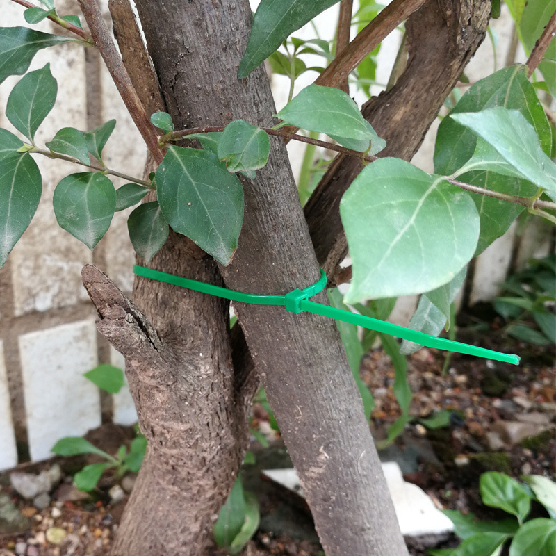 Fixed plant cable ties 50 garden plastic self-locking buckle cable ties 30cm green nylon cable tie