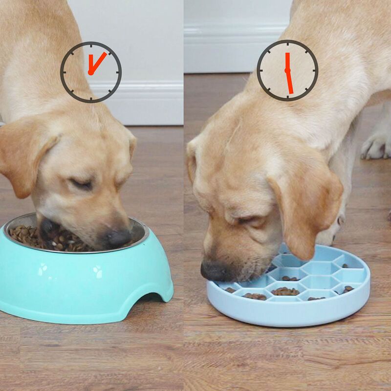 ペットの遅い食べ物の碗の犬はむせを防止します。|undefined