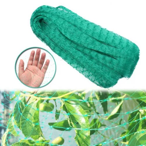 Anti-Bird Net Garden Net Orchard Anti-Bird Net Polyethylene Anti-Bird Net Extrusion Anti-Bird Net Grape Anti-Green Anti-Bird Net