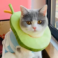 Кольцо Элизабет кошачий ошейник авокадо пончик кошка домашнее животное головной убор анти-лизать кольцо позора