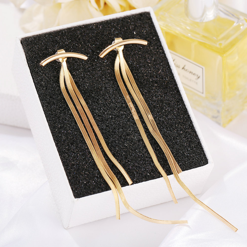 Europe and the United States cross-border hot-selling alloy tassel earrings creative simple snake bone tassel metal long earrings women