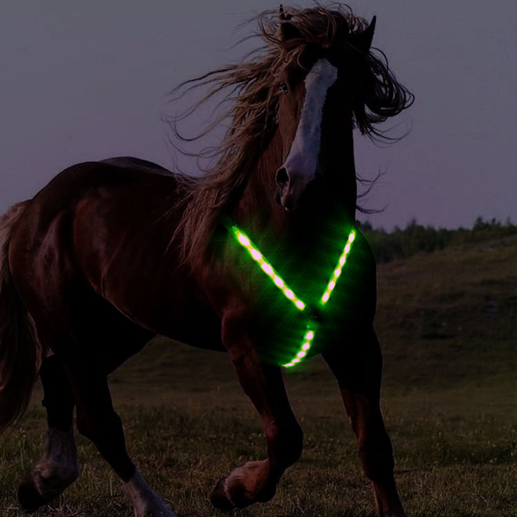 USB 充電式 Led 点灯馬タック機器光る馬チェストストラップ点滅乗馬スポーツ用品|undefined