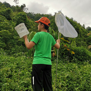 Manufacturers sell Amazon explosions stainless steel gold Net Children insect net insect net telescopic fish shrimp tadpoles