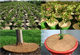 Needle Punched Round Brown Film Flower Pot Shade Mat Tree Fence Mat Anti-Grass Mat Flower Pot Dust-proof Decorative Mat