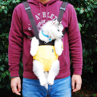 Hand-in-hand baby pet bag dog bag pet backpack hanging bag pet chest bag cat bag pet backpack