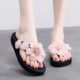 New Sandals and Slippers Women's Summer Wear Fashionable All-match Flip-flops Thick-soled Beach Shoes Sweet Seaside Holiday Sandals for Women