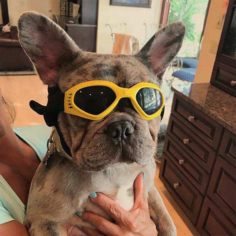 Pet glasses cross-border accessories foldable multi-color dog supplies cross-border outdoor sunglasses new decorative glasses