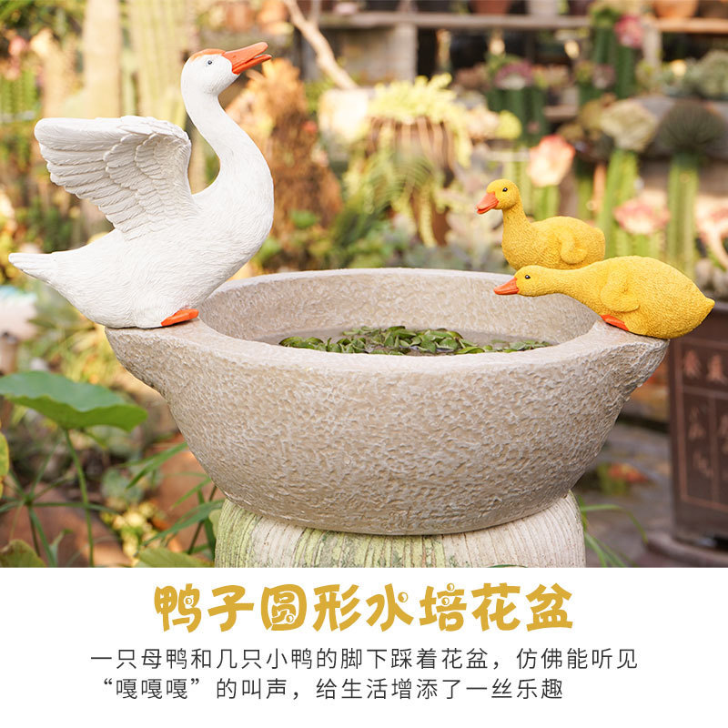 Balcony Decorative Layout Duck Snail Hydroponics Water Sipper Flower Pot Creative Decoration Garden Fish Farming Decoration