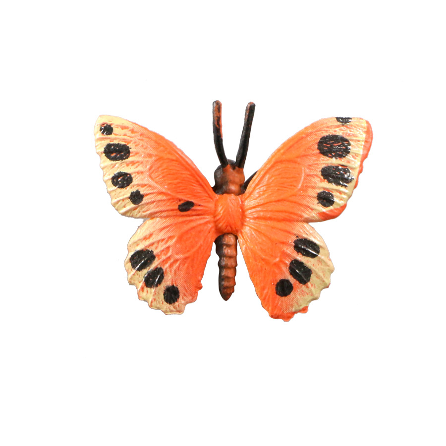 Simulation insect model butterfly 12 PVC Color Butterfly wildlife model cognitive toy ornaments