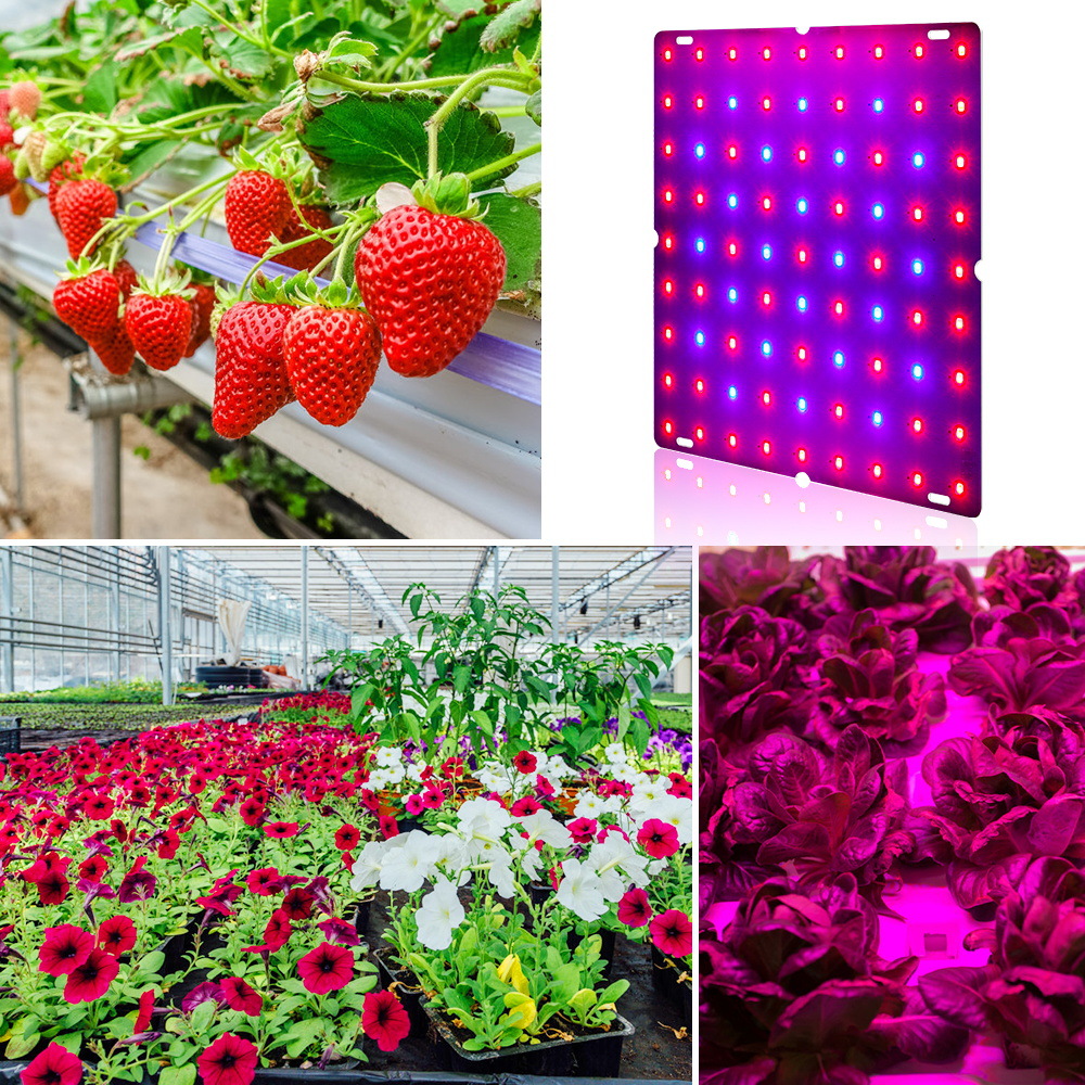 Qianrun Lighting led Plant Growth Light Red and Blue Spectrum Planting Light Indoor Greenhouse Seedling Quantum Board Plant Light
