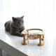 Glass Cat Bowl Cat Food Bowl Dog Bowl Dog Bowl Drinking Water Bowl Double Bowl Protecting Cervical Spine Glass Pet Bowl
