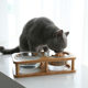 Glass Cat Bowl Cat Food Bowl Dog Bowl Dog Bowl Drinking Water Bowl Double Bowl Protecting Cervical Spine Glass Pet Bowl